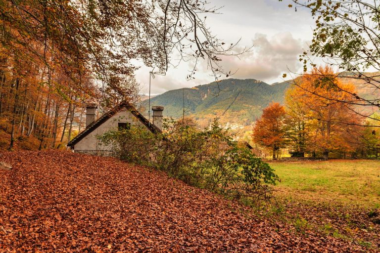 FOLIAGE CASTEL THUN E LAGO DI TOVEL